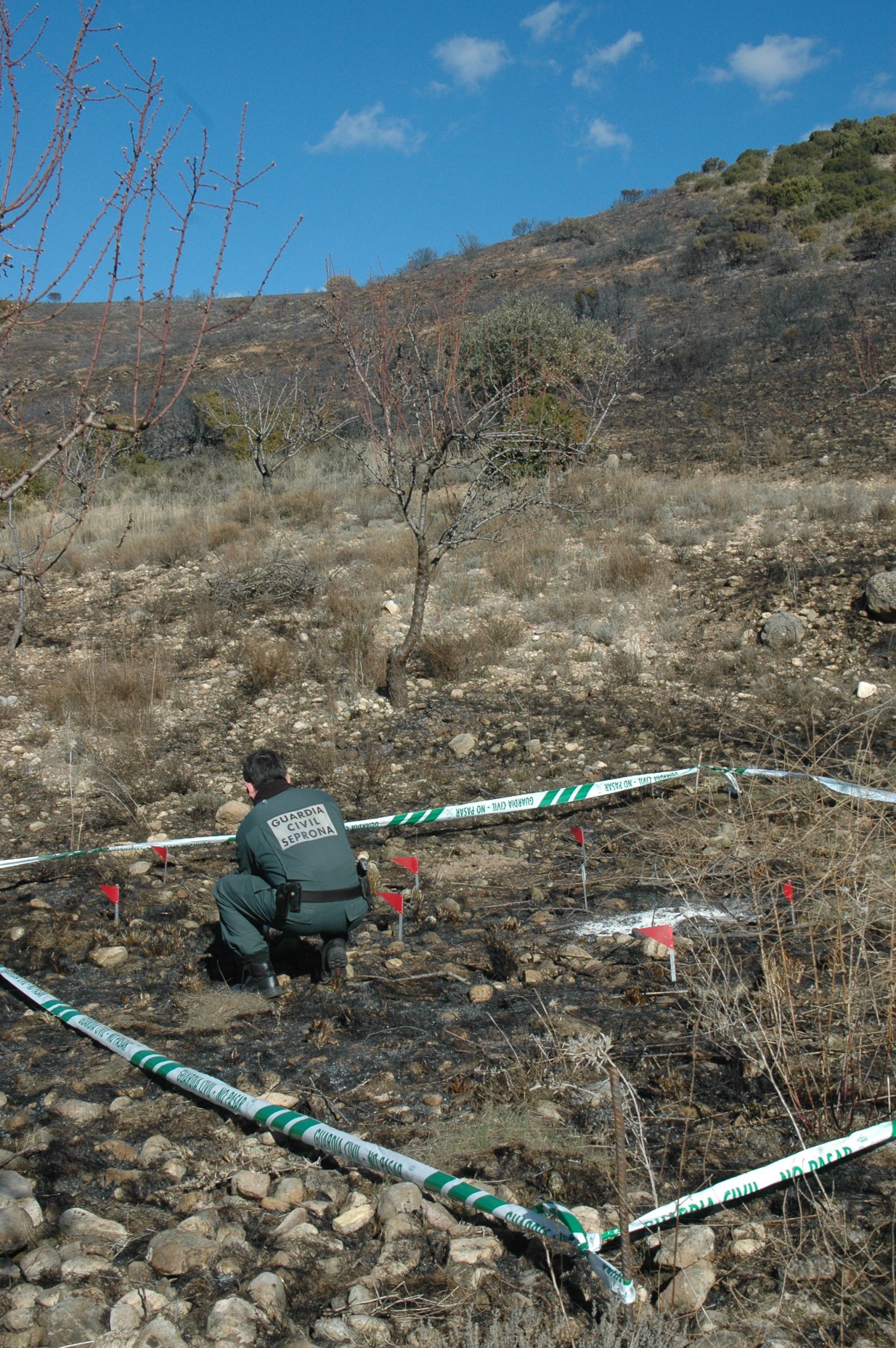 La Guardia Civil imputa a una persona por el incendio forestal ocurrido en Valverde de Ágreda.
